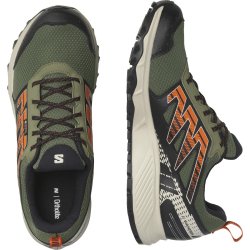 Кросівки Salomon Wander GTX M - чорні/зелені