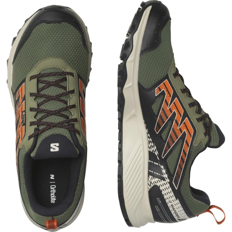 Кросівки Salomon Wander GTX M - чорні/зелені