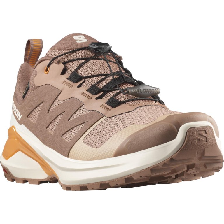 Кросівки Salomon X-Adventure GTX W - коричневі