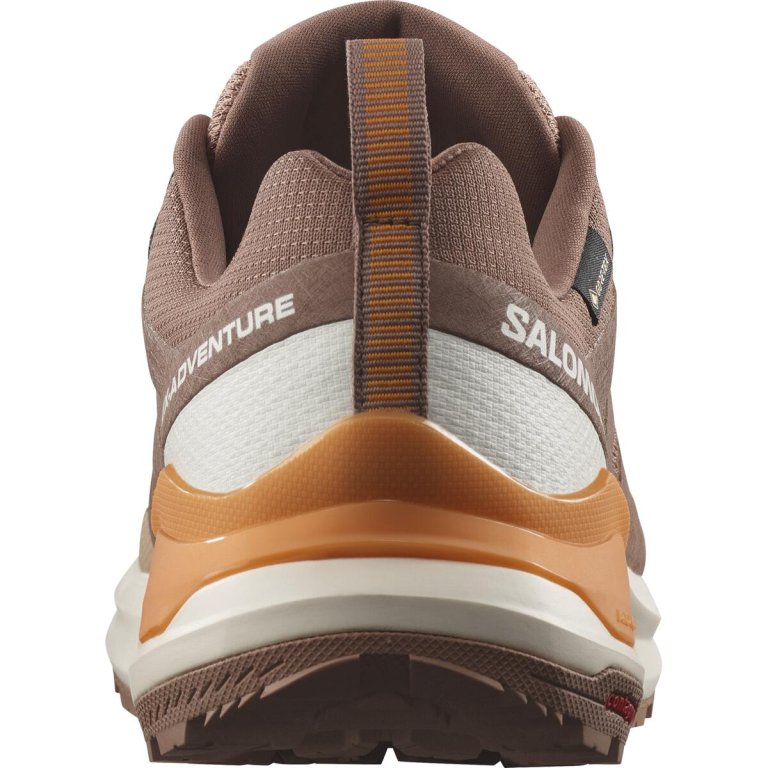 Кросівки Salomon X-Adventure GTX W - коричневі