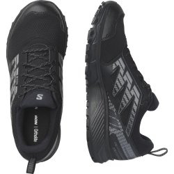 Кросівки Salomon Wander GTX M - чорні