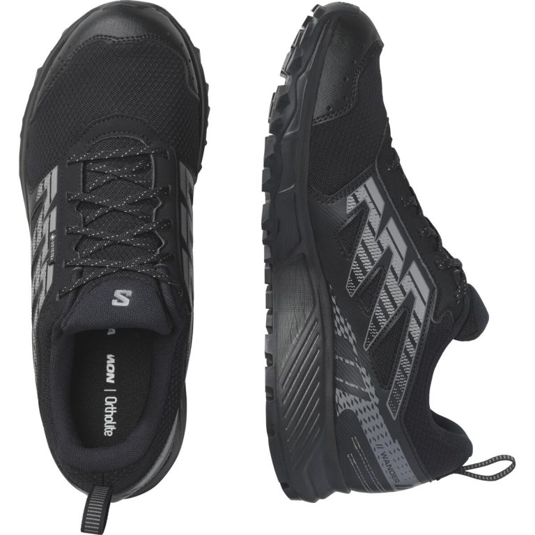 Кросівки Salomon Wander GTX M - чорні