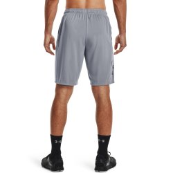 Шорти Under Armour Tech Graphic Short - сірі