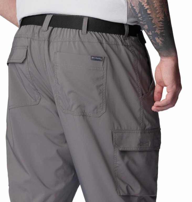 Штани Columbia Silver Ridge™ Utility Pant M - сірі (стандартна довжина)