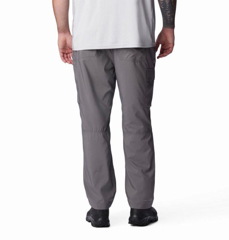 Штани Columbia Silver Ridge™ Utility Pant M - сірі (стандартна довжина)