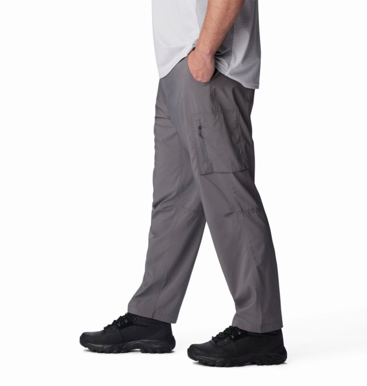 Штани Columbia Silver Ridge™ Utility Pant M - сірі (стандартна довжина)