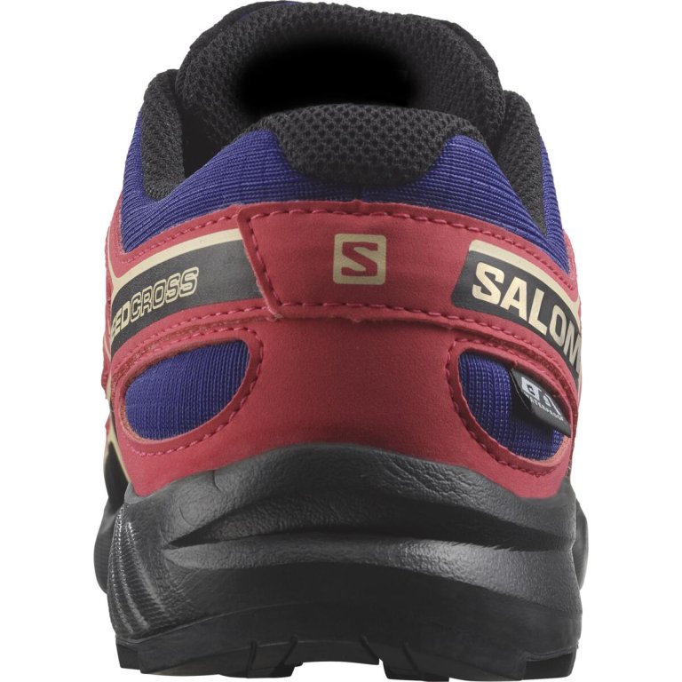Кросівки Salomon Speedcross Cswp J - сині/рожеві