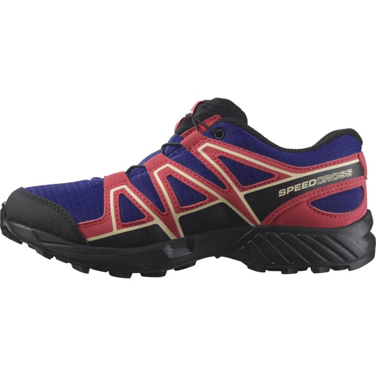Кросівки Salomon Speedcross Cswp J - сині/рожеві