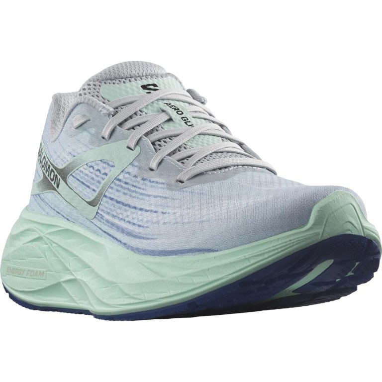 Кросівки Salomon Aero Glide W - блакитні/ зелені