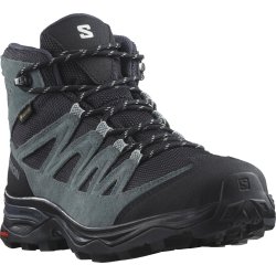 Взуття Salomon X Ward Leather Mid GTX W - чорне/сіре