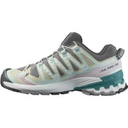 Кросівки Salomon Xa Pro 3D v9 W - сірі/ зелені/ рожеві