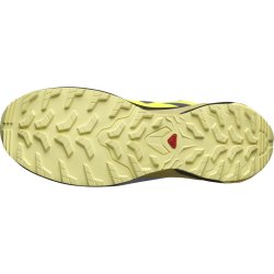 Кросівки Salomon X-Adventure GTX M - жовті/ сірі