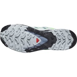 Кросівки Salomon Xa Pro 3D V9 M - зелені/ сірі /чорні