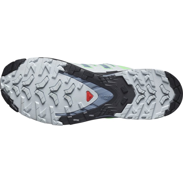 Кросівки Salomon Xa Pro 3D V9 M - зелені/ сірі /чорні