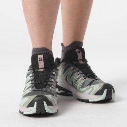 Кросівки Salomon Xa Pro 3D V9 W - сірі/зелені