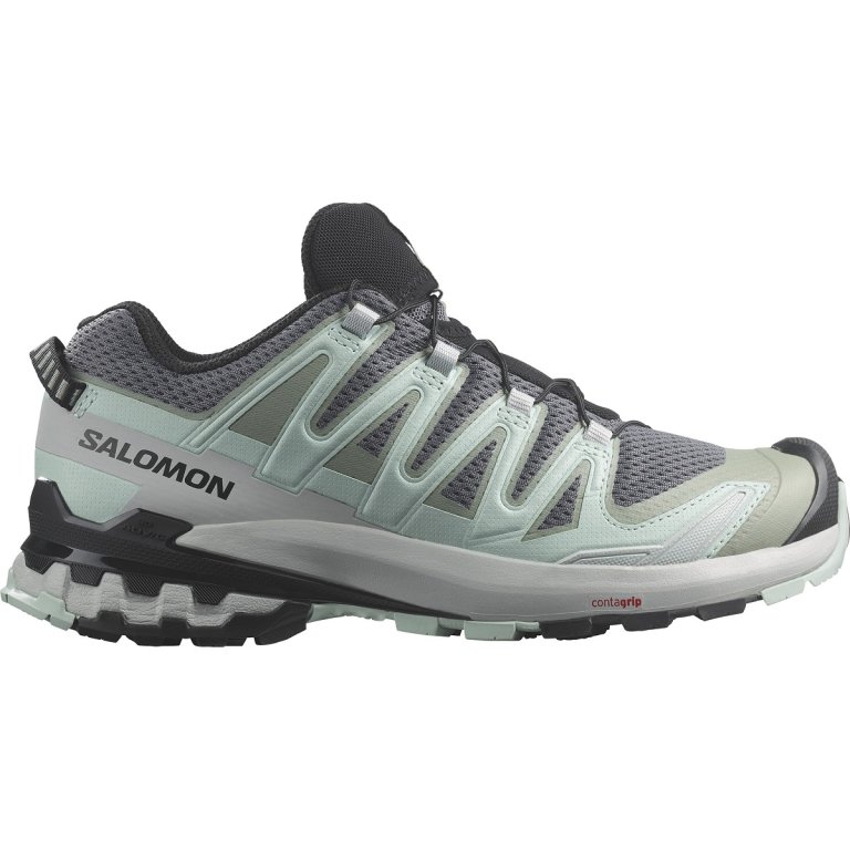Кросівки Salomon Xa Pro 3D V9 W - сірі/зелені