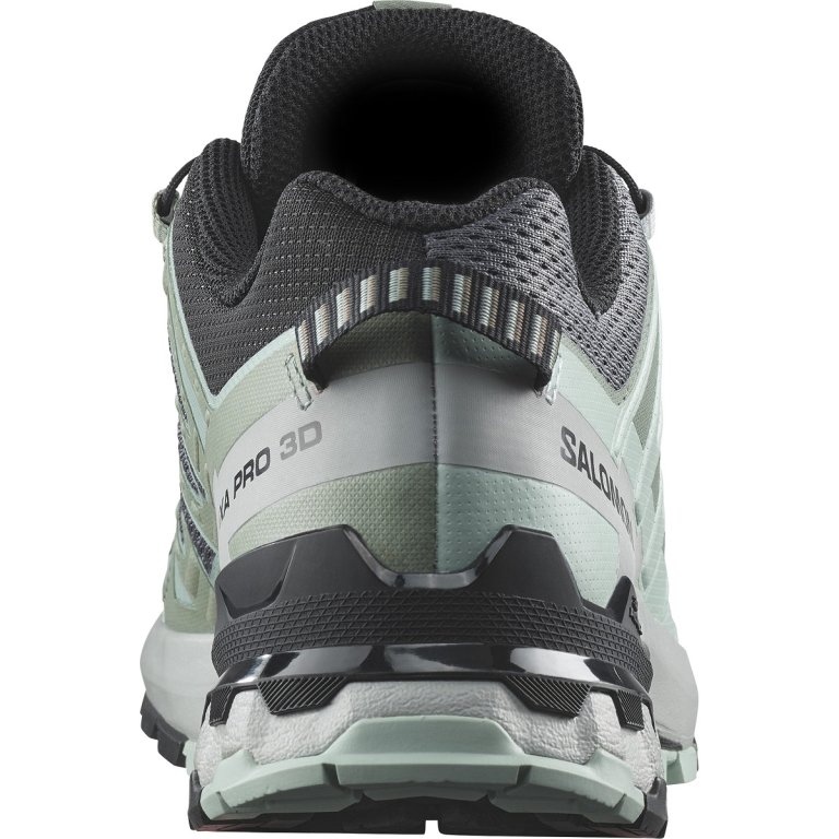 Кросівки Salomon Xa Pro 3D V9 W - сірі/зелені