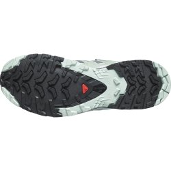 Кросівки Salomon Xa Pro 3D V9 W - сірі/зелені