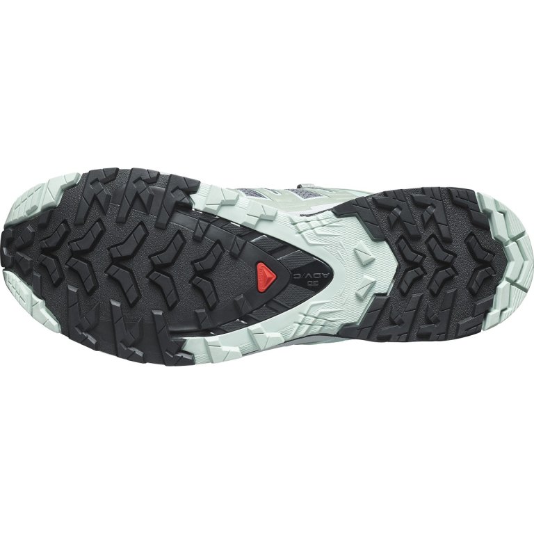 Кросівки Salomon Xa Pro 3D V9 W - сірі/зелені