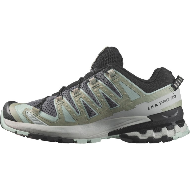 Кросівки Salomon Xa Pro 3D V9 W - сірі/зелені