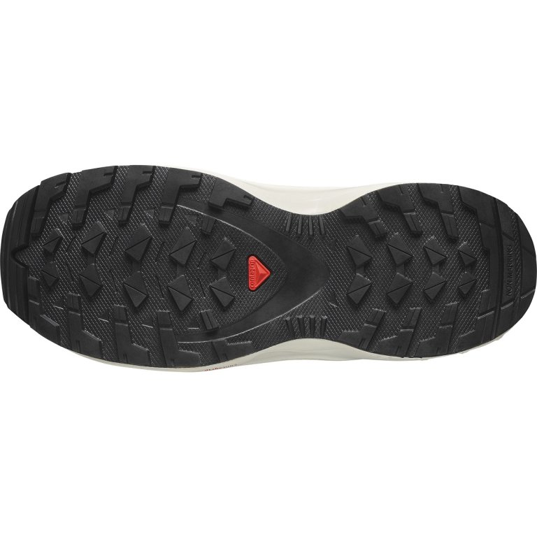Кросівки Salomon Xa Pro v8 J - сірі/ білі/ рожеві