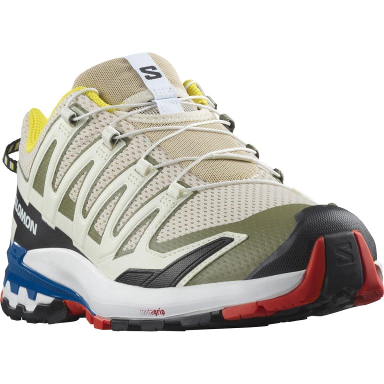 Кросівки Salomon XA PRO 3D V9 M - білі/ зелені/ сині
