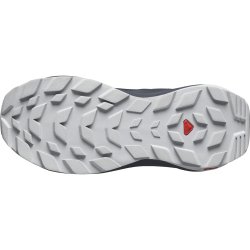 Кросівки Salomon Elixir GTX W - сірі/ чорні