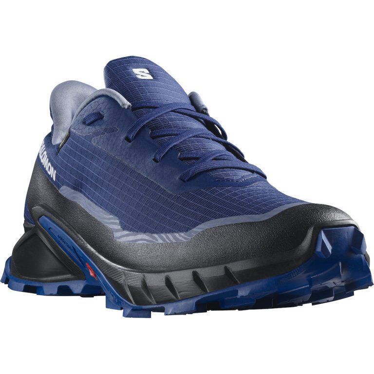 Кросівки Salomon Alphacross 5 GTX M - сині/ чорні