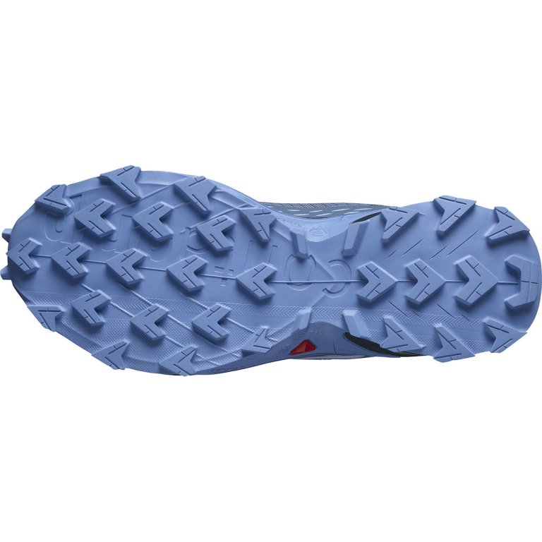 Кросівки Salomon Alphacross 5 W - сині/сірі