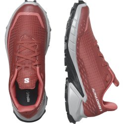 Кросівки Salomon Alphacross 5 W - червоні/ рожеві