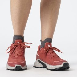 Кросівки Salomon Alphacross 5 W - червоні/ рожеві