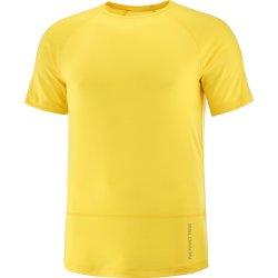 Футболка Salomon Cross Run SS Tee M - жовта
