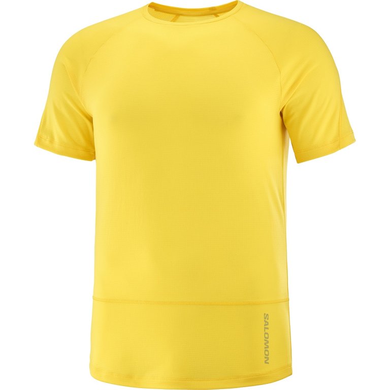 Футболка Salomon Cross Run SS Tee M - жовта