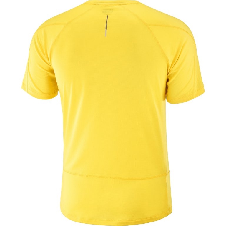 Футболка Salomon Cross Run SS Tee M - жовта