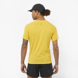 LC2138600_crossrunsstee_lemon_run_m