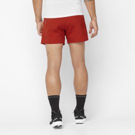 LC2159600_1_MOD_cross5shorts_reddahlia_run_m.png.high-res