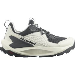 Кросівки Salomon Elixir GTX W - молочні/ сірі