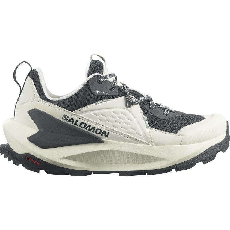 Кросівки Salomon Elixir GTX W - молочні/ сірі