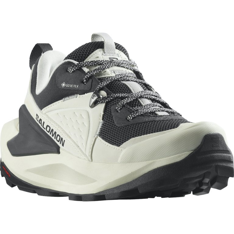 Кросівки Salomon Elixir GTX W - молочні/ сірі