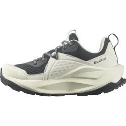 Кросівки Salomon Elixir GTX W - молочні/ сірі