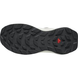 Кросівки Salomon Elixir GTX W - молочні/ сірі