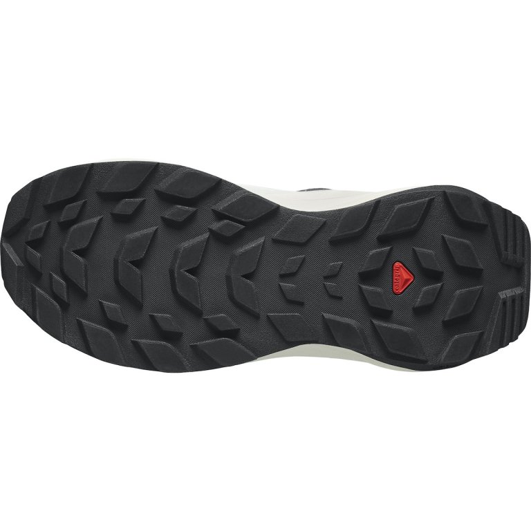 Кросівки Salomon Elixir GTX W - молочні/ сірі