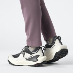 Кросівки Salomon Elixir GTX W - молочні/ сірі