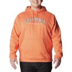 Mikina Columbia CSC Basic Logo™ II Hoodie M - oranžová