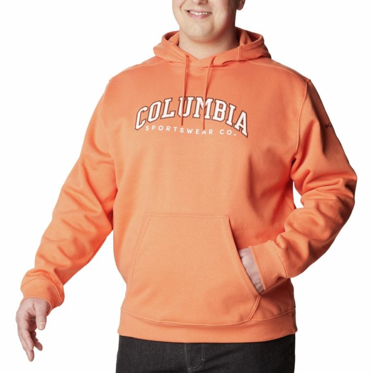 Mikina Columbia CSC Basic Logo™ II Hoodie M - oranžová
