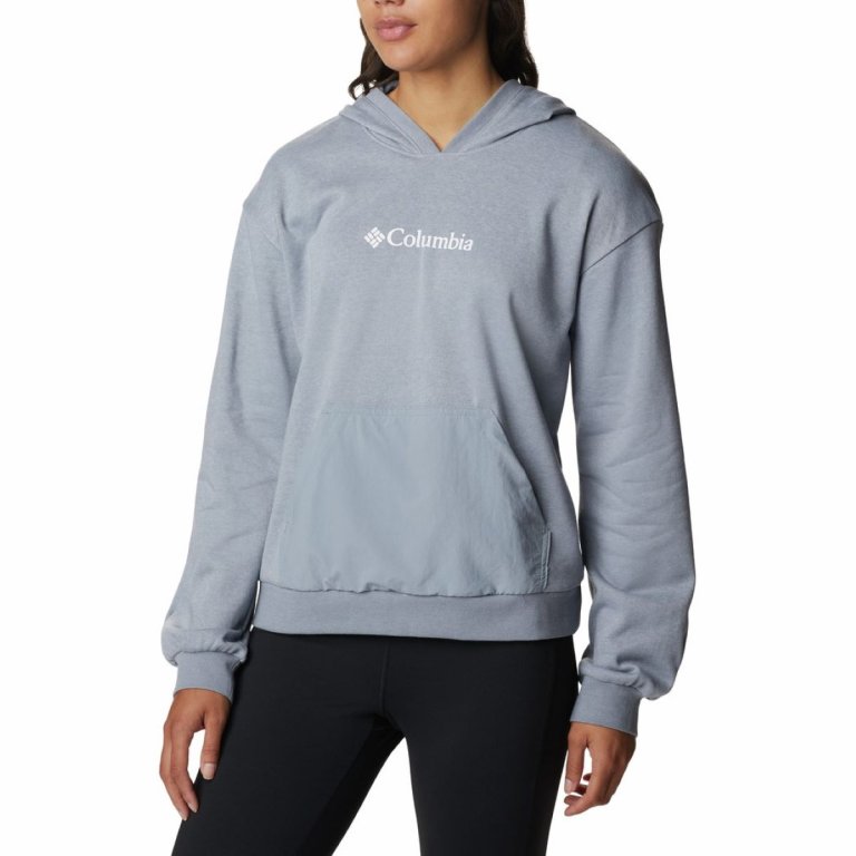 Худі Columbia Logo™ III French Terry Hoodie W -сіре