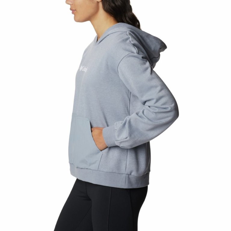 Худі Columbia Logo™ III French Terry Hoodie W -сіре