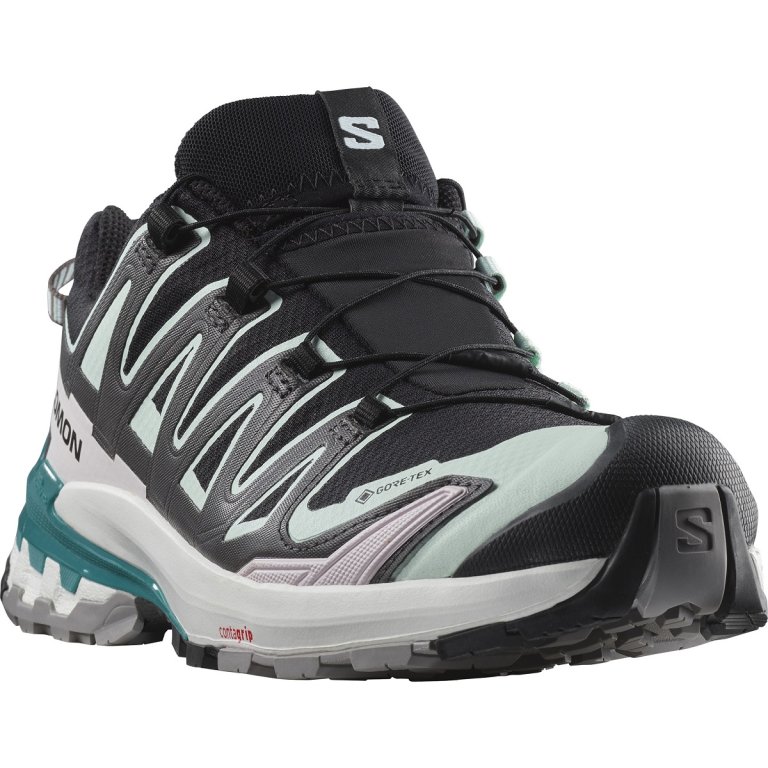 Кросівки Salomon Xa Pro 3D V9 GTX W - чорні/ блакитні