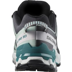 Кросівки Salomon Xa Pro 3D V9 GTX W - чорні/ блакитні