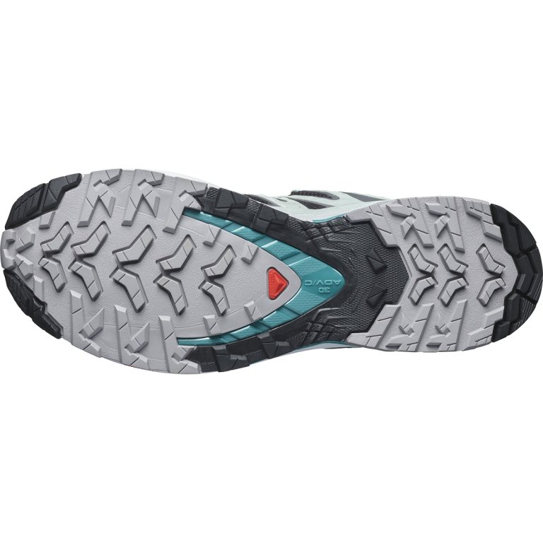 Кросівки Salomon Xa Pro 3D V9 GTX W - чорні/ блакитні